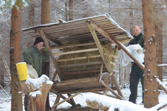 dnešné prikrmovanie