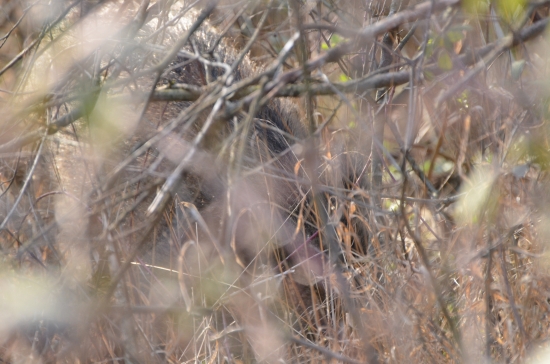 čo sa na mňa valí