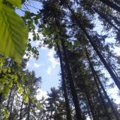 krajšie miesto na spanok a odych ako v prírode nieje v žiadnej posteli