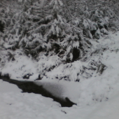 konečne sneží......