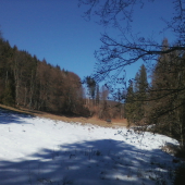 dalši krasny den