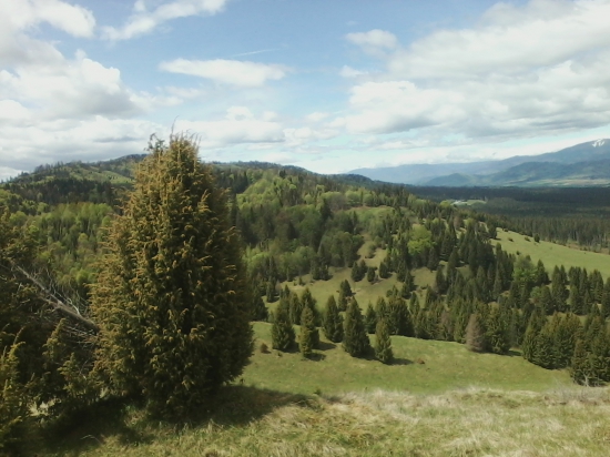 moj sviatocny den