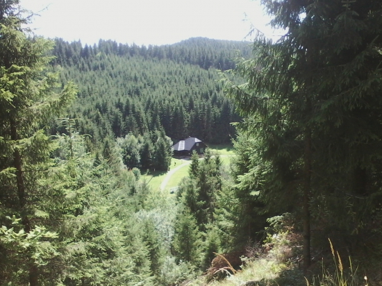 krasny pohlad