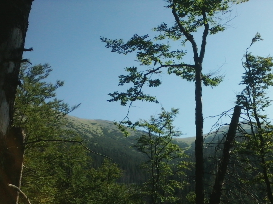 moj relax