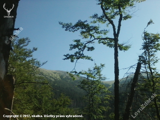 moj relax