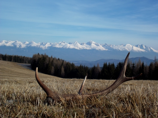 Môj prvý 12 toráčik