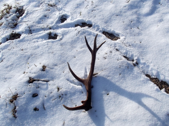 Ešte jedna z iného uhla pohladu