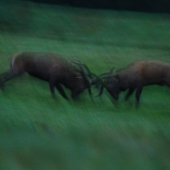 Fotka nulová , zážitok miliónový