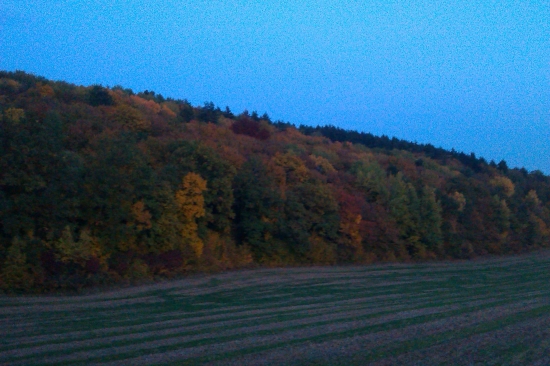 krása jesene na čekanej