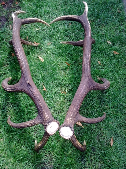 Take trocha ryhovane.