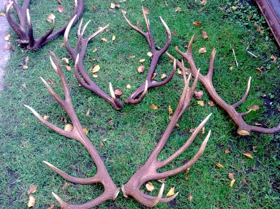 Niekdajsia pod Polianska krasa vaha parou 7 a 6 kil.