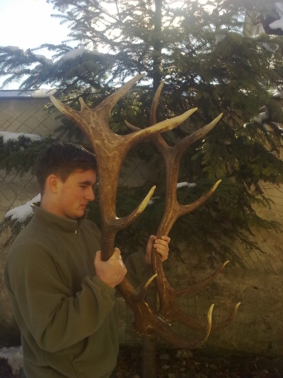 Take trocha pokrivene.Predkovia boli asi Wapitaci.