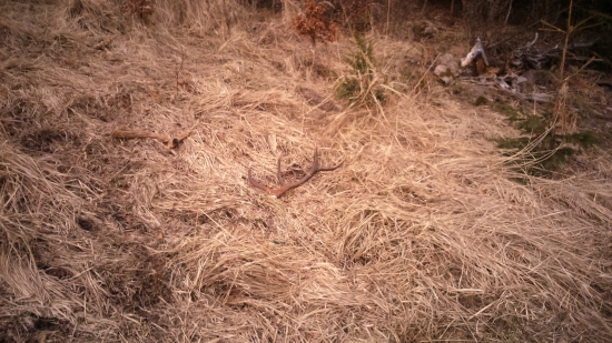 Takto na mňa čakal..