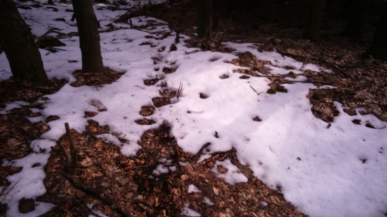 Rok si na mňa počkal...