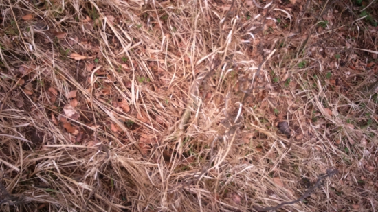 Ten si tu poležal...