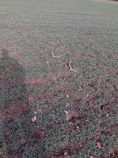 Takto boli pekne odložené...