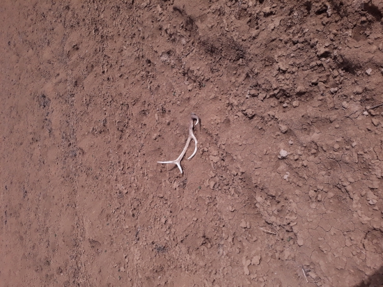 Svietil ako žiarovka