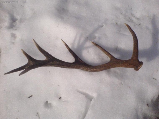 moj prvy z roku 2007