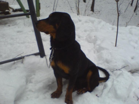 moj najlepsi priatel