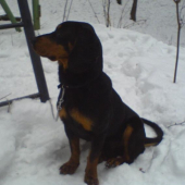 moj najlepsi priatel