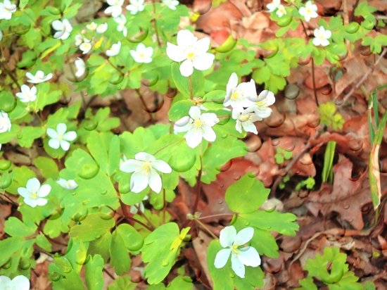 ...na prechádzke...
