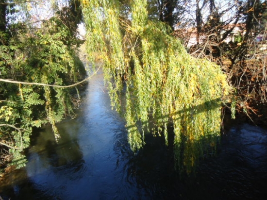 ...jesenná prechádzka...