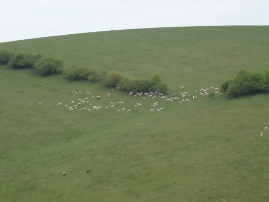 ...ešte z prechádzky...