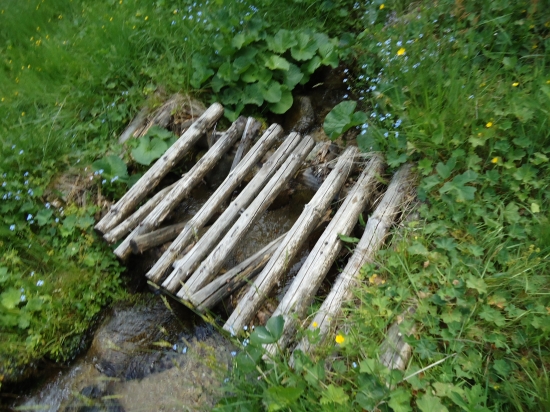 ...ešte z prechádzky...