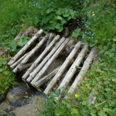 ...ešte z prechádzky...