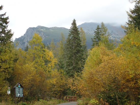 ...cestou na Popradské pleso...