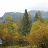 ...cestou na Popradské pleso...