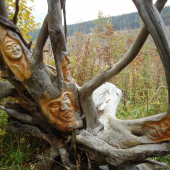 ...po ceste na Popradské pleso...