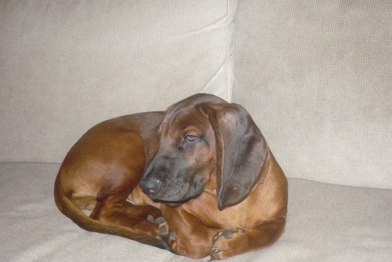 Další přírustek do 