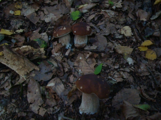 PEKNý ULOVOK...VšAK......