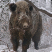 JE ..TO  ..PEKNý...KúSOK...žE....