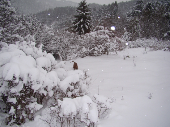 Moja......Rita.......