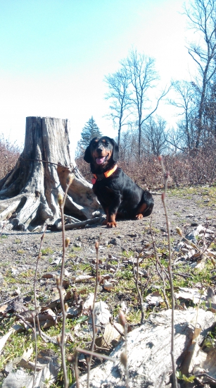 Nela zo Sušianskej doliny