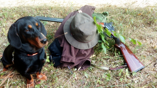 Nela zo Sušianskej doliny (Alpský jazvečíkovitý durič)