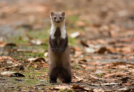 Překvapená a já také :-)