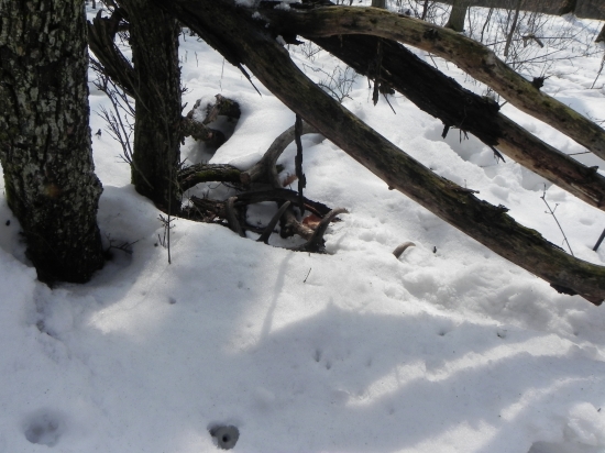 Celkom pekny zaciatok sezony