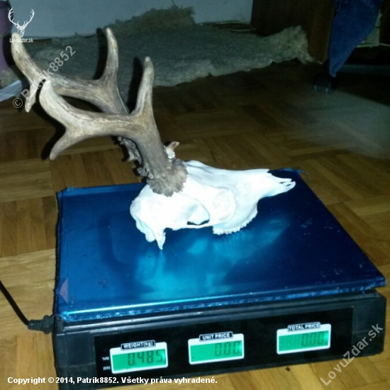 Moj srnček