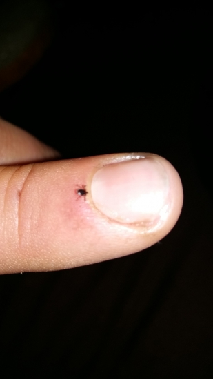 nechcený januárový úlovok!