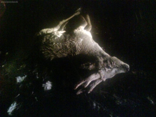 Zrazená III.veková trieda