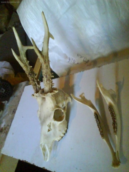 ID 56338 - po vyvareni