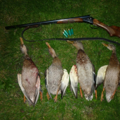 4 rany - 4 kačky :-)