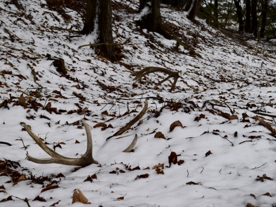 Prvý pohľad najkrajší