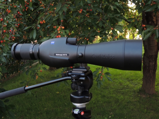 Zeiss Victory  Diascope 85 T* FL
