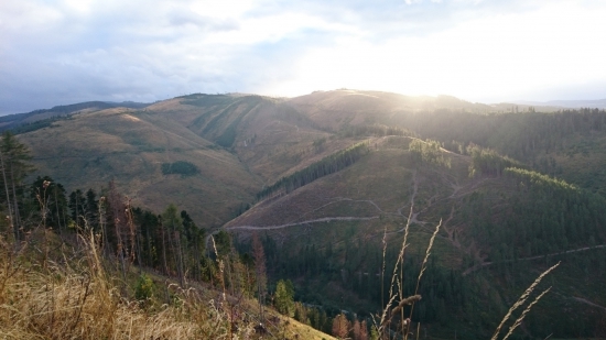 večerná vychádzka