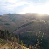 večerná vychádzka