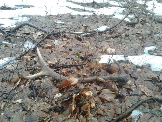 tretí starý za tri dni ...